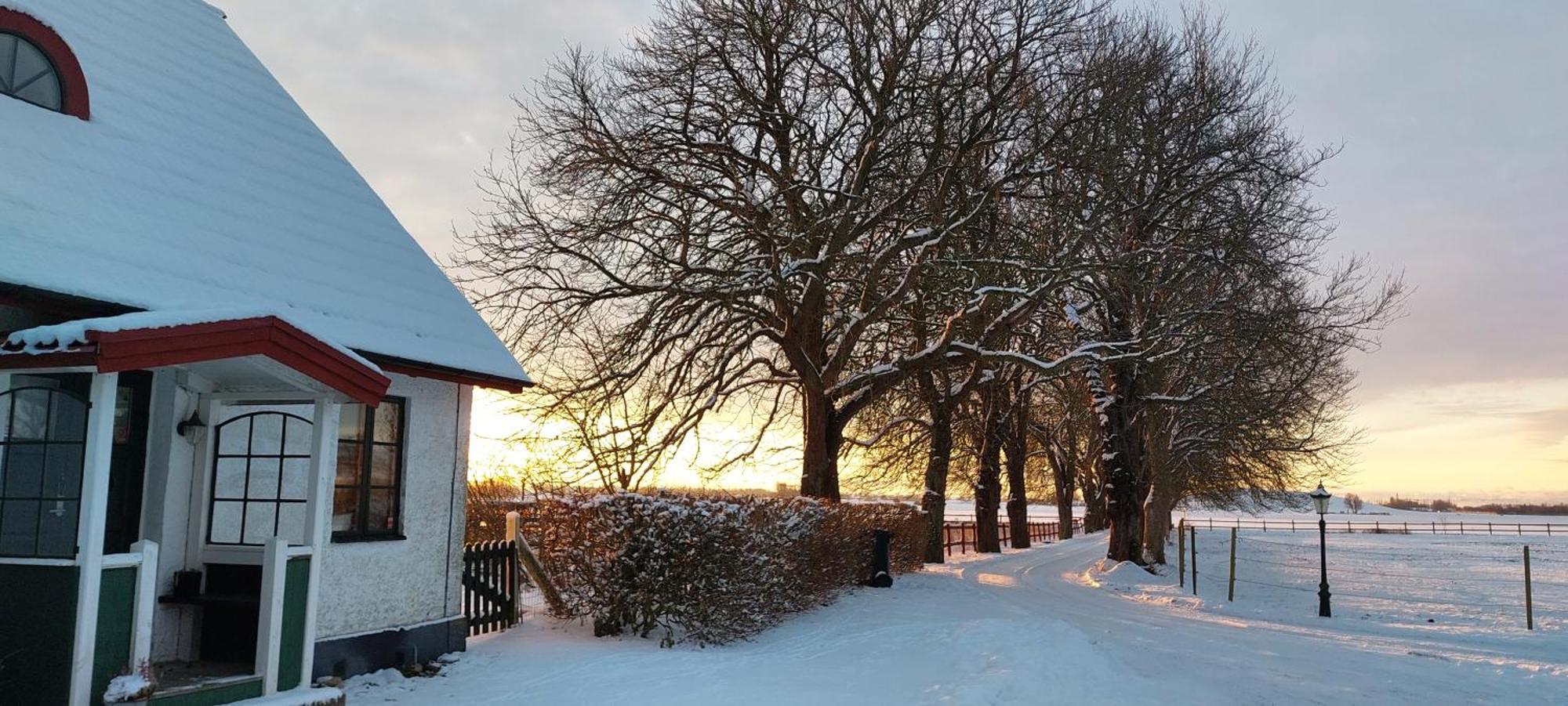 Lantligt Och Lugnt Boende Naera Natur Och Stad Svedala Dış mekan fotoğraf