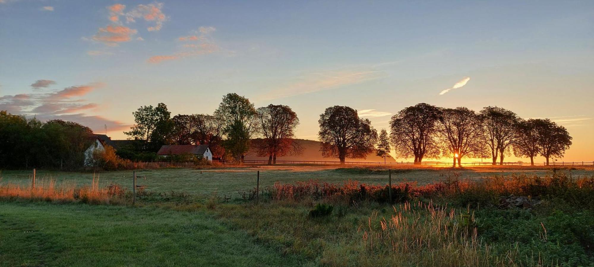 Lantligt Och Lugnt Boende Naera Natur Och Stad Svedala Dış mekan fotoğraf