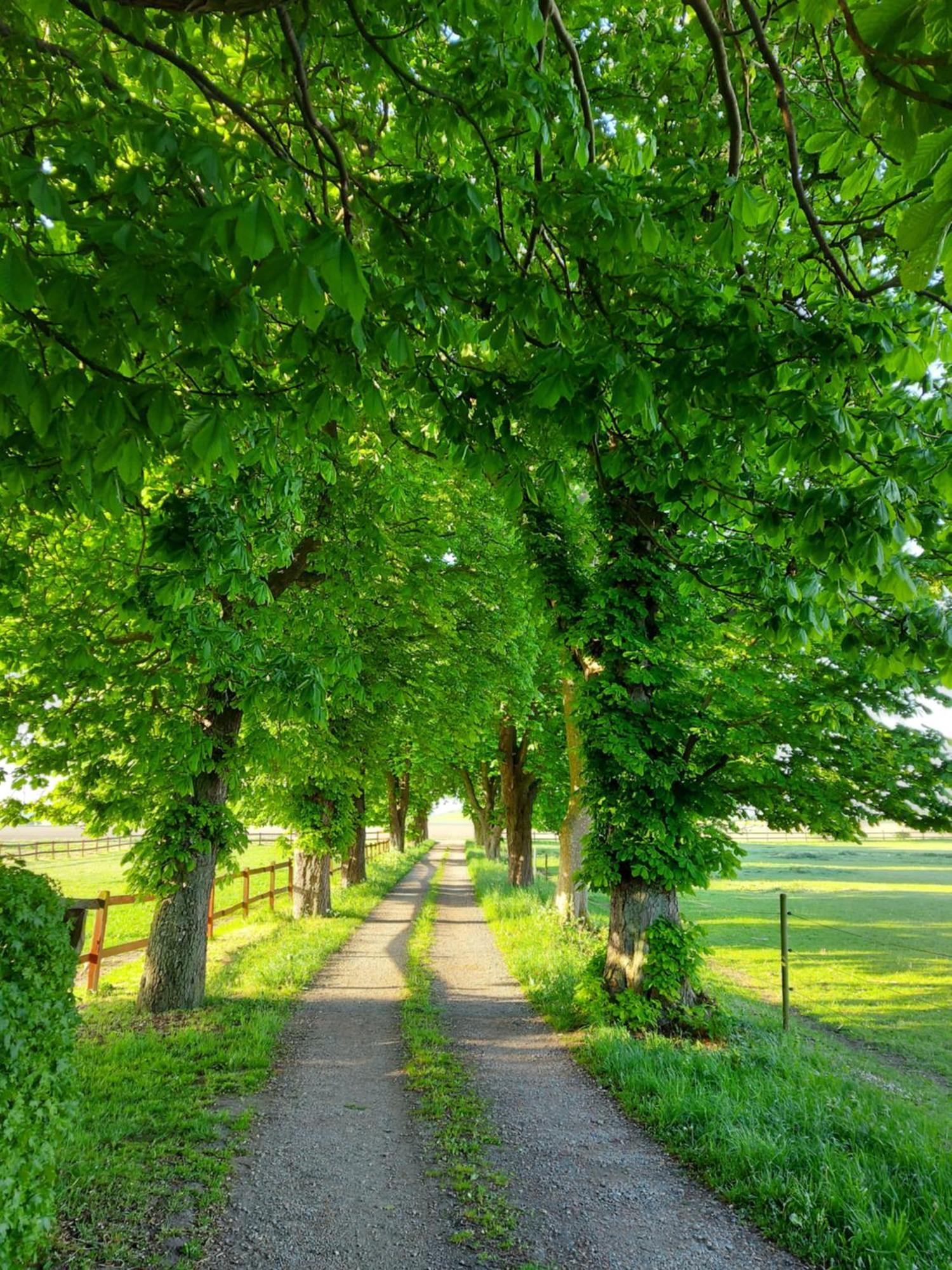 Lantligt Och Lugnt Boende Naera Natur Och Stad Svedala Dış mekan fotoğraf