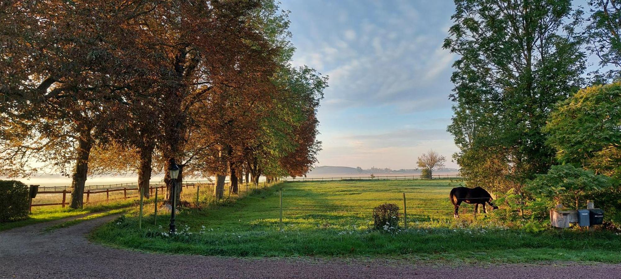 Lantligt Och Lugnt Boende Naera Natur Och Stad Svedala Dış mekan fotoğraf