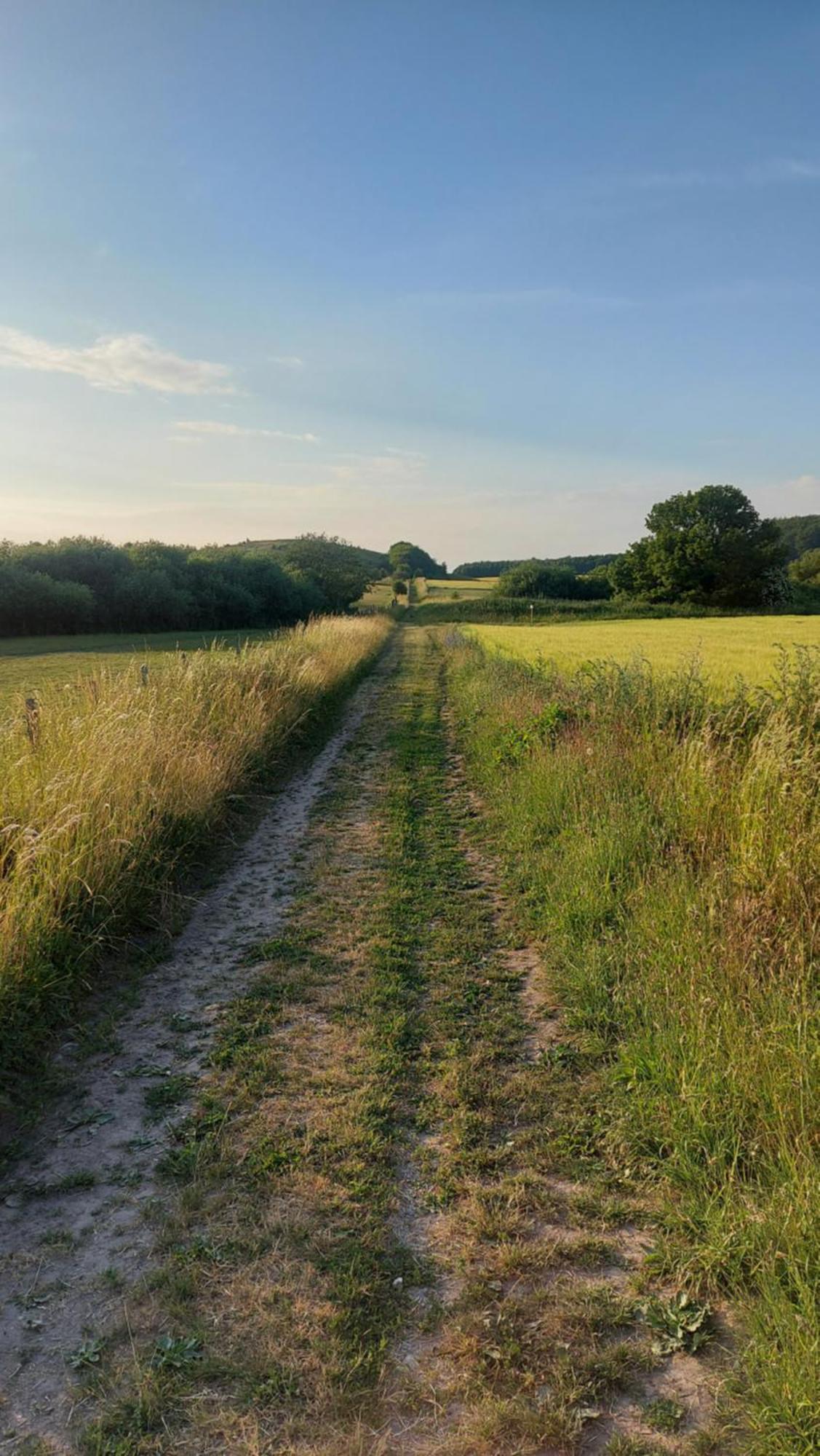 Lantligt Och Lugnt Boende Naera Natur Och Stad Svedala Dış mekan fotoğraf