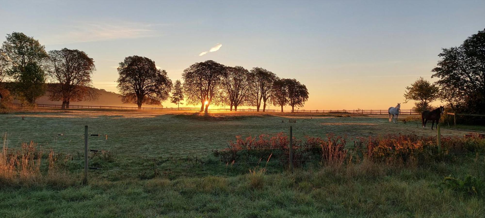 Lantligt Och Lugnt Boende Naera Natur Och Stad Svedala Dış mekan fotoğraf