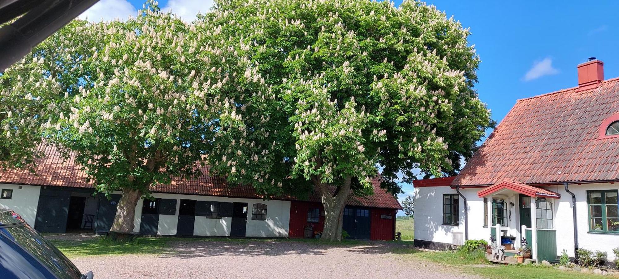 Lantligt Och Lugnt Boende Naera Natur Och Stad Svedala Dış mekan fotoğraf