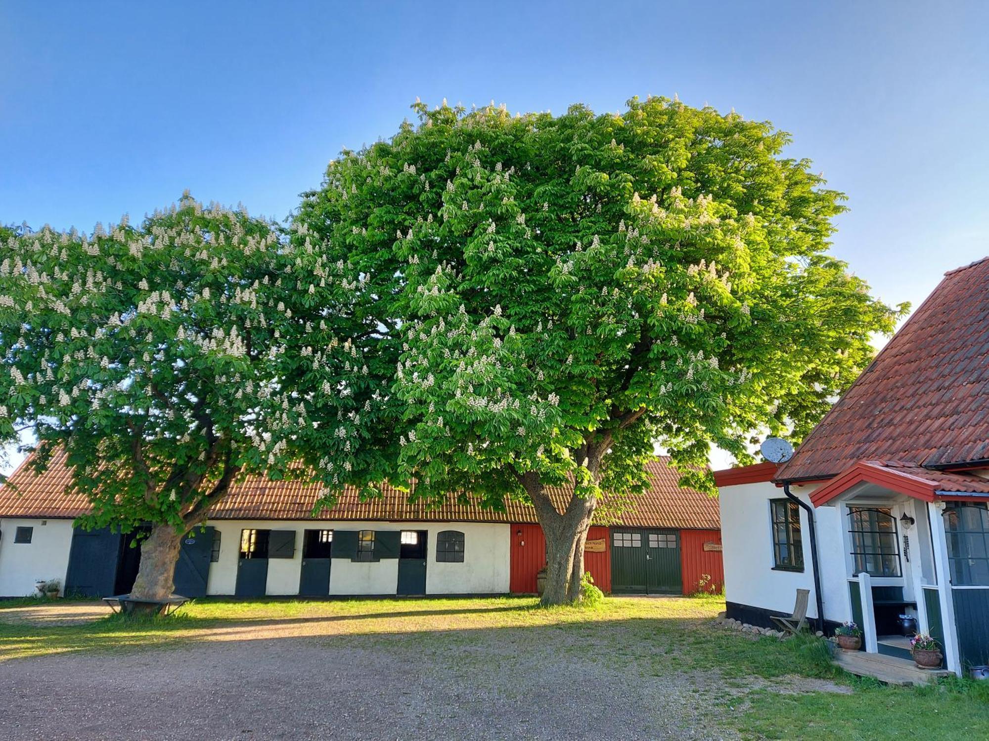 Lantligt Och Lugnt Boende Naera Natur Och Stad Svedala Dış mekan fotoğraf
