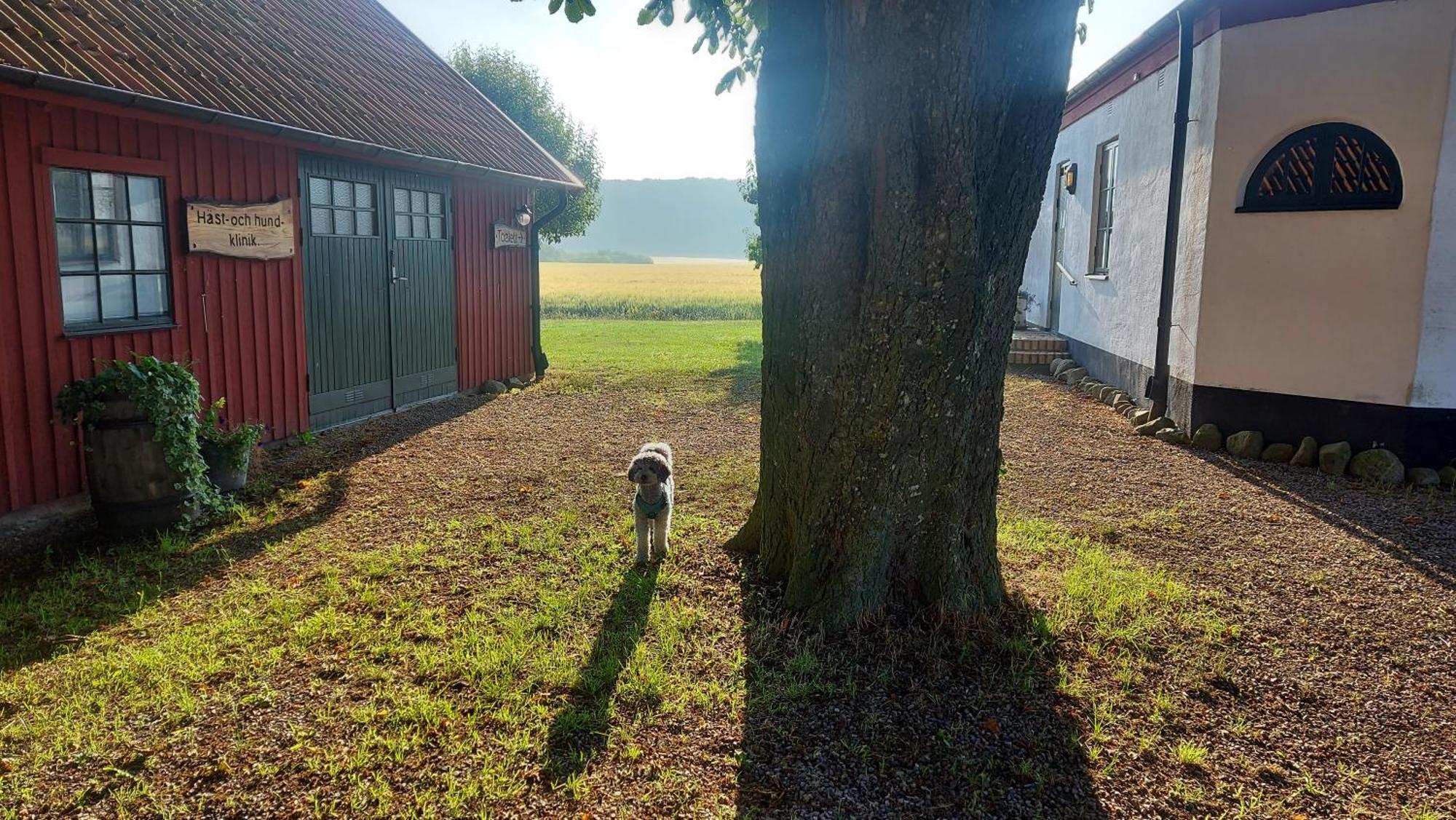 Lantligt Och Lugnt Boende Naera Natur Och Stad Svedala Dış mekan fotoğraf