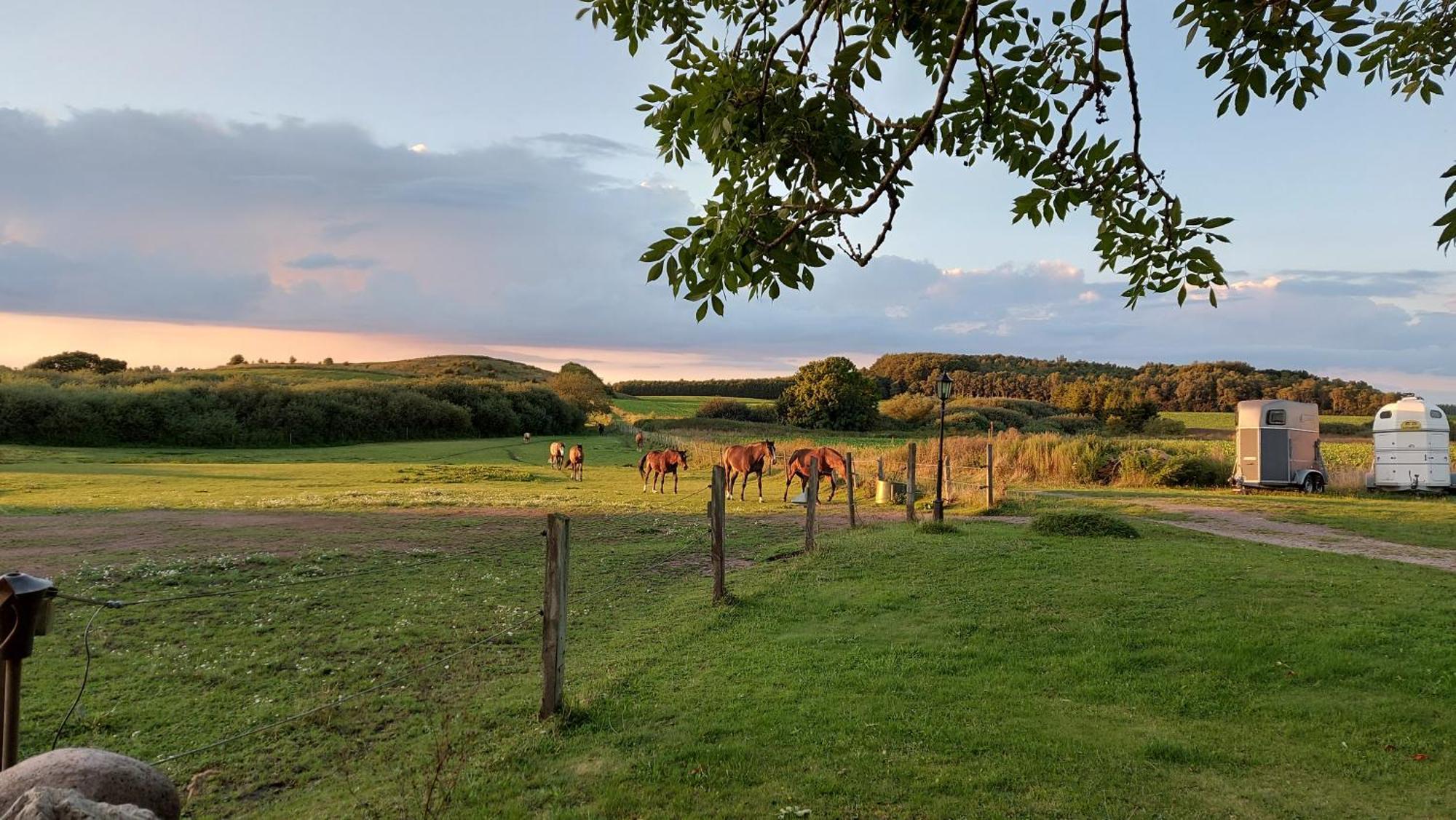 Lantligt Och Lugnt Boende Naera Natur Och Stad Svedala Dış mekan fotoğraf