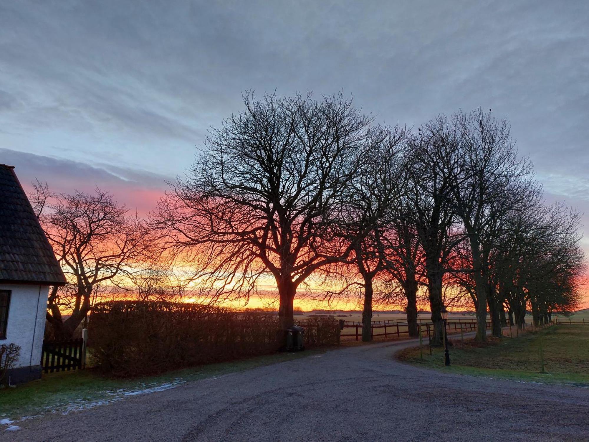 Lantligt Och Lugnt Boende Naera Natur Och Stad Svedala Dış mekan fotoğraf