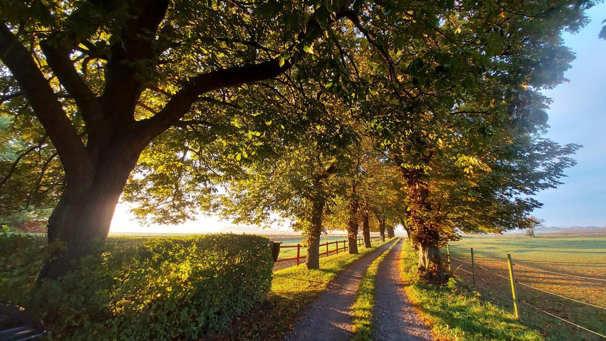 Lantligt Och Lugnt Boende Naera Natur Och Stad Svedala Dış mekan fotoğraf